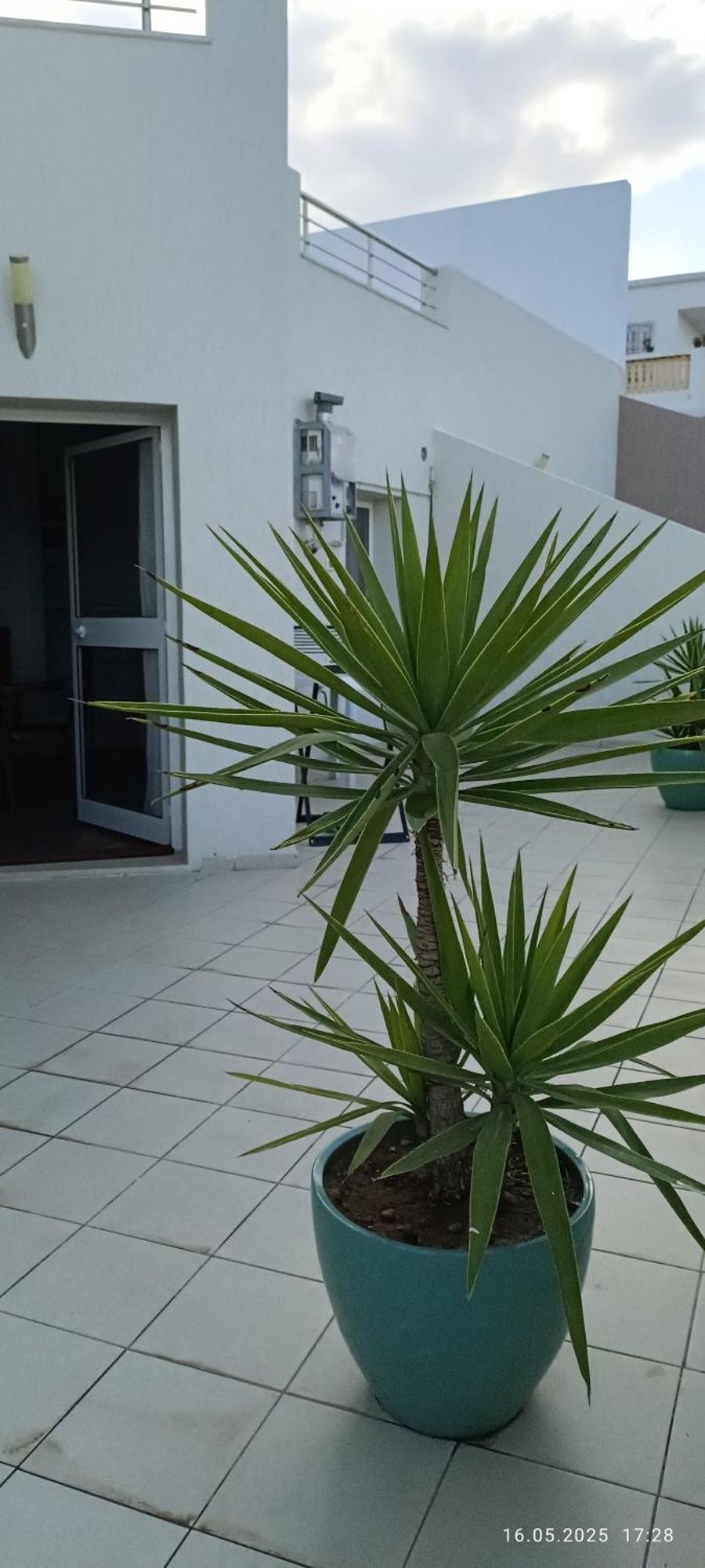 Residence Debbabi Sans Coupure D'Eau Монастир Номер фото